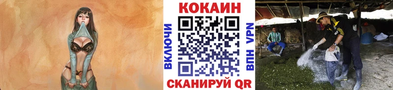 где купить наркоту  Алексеевка  COCAIN Перу 