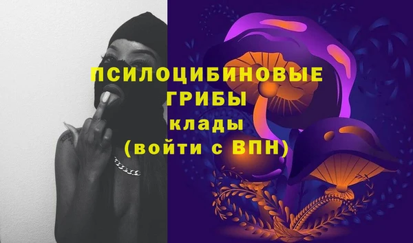 хмурый Алексин