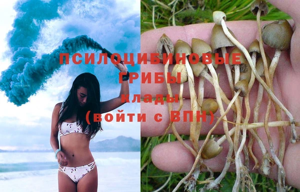 шишки Алексеевка