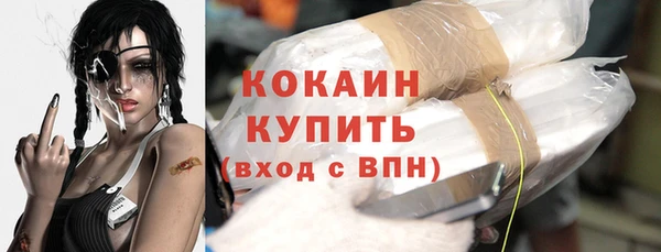 дмт Абаза