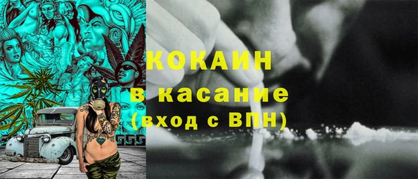 хмурый Алексин