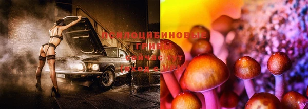 хмурый Алексин
