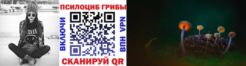 сайты даркнета наркотические препараты  Алексеевка  Псилоцибиновые грибы MAGIC MUSHROOMS  блэк спрут  